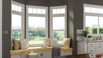 Window World Double Hung Windows