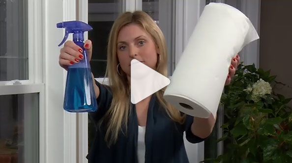 cleaning your windows
