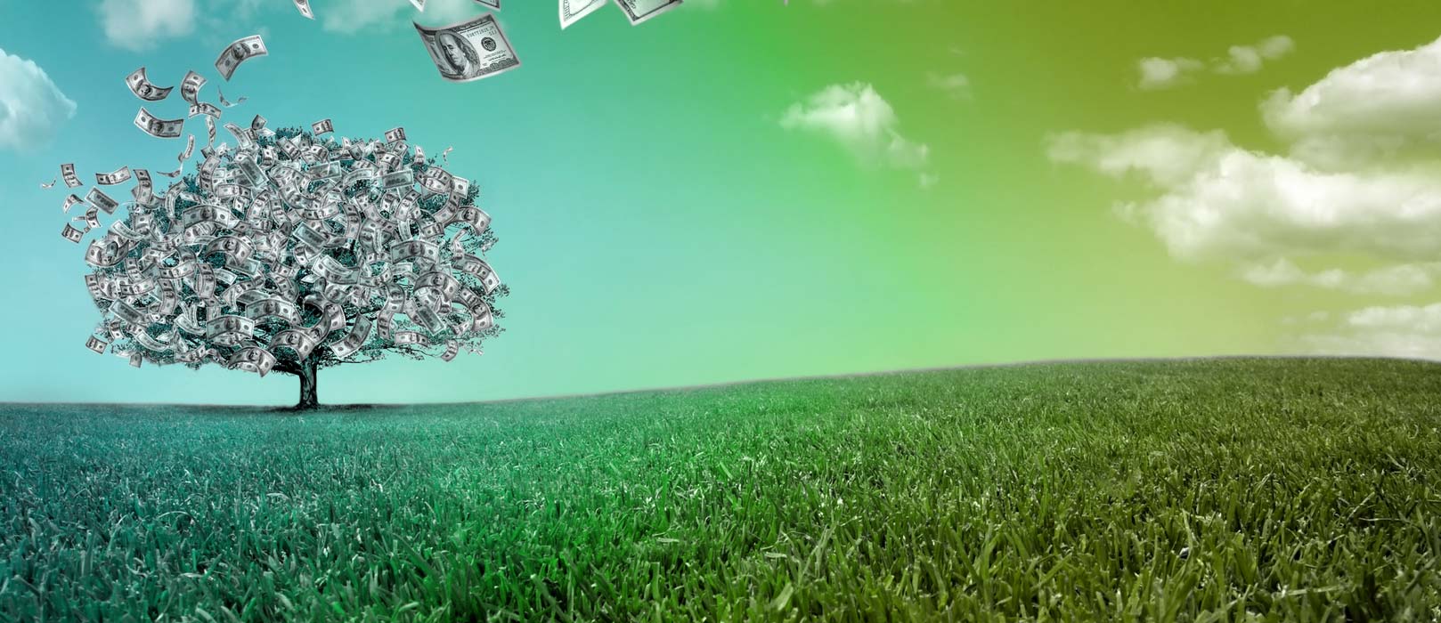 Window World Financing Available